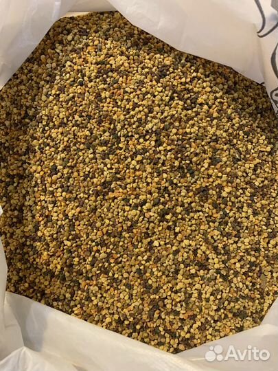 Пыльца цветочная