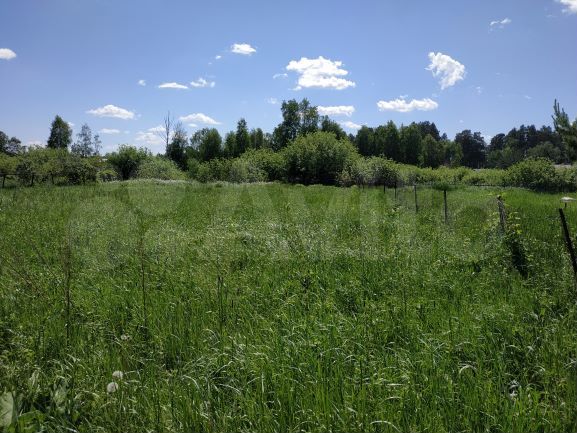 Участок 10 сот. (СНТ, ДНП)