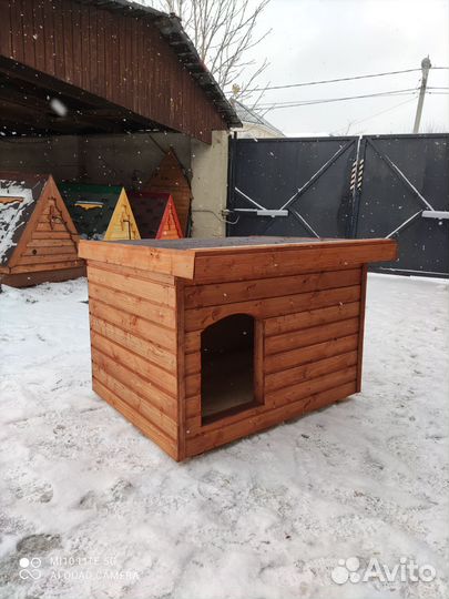 Собачья будка