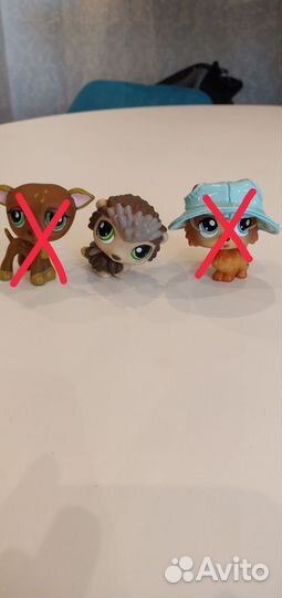 Littlest pet shop