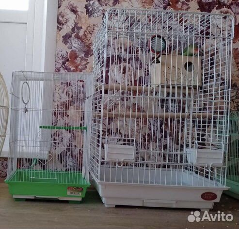 Клетки для грызунов и попугаев (так же попугаи)