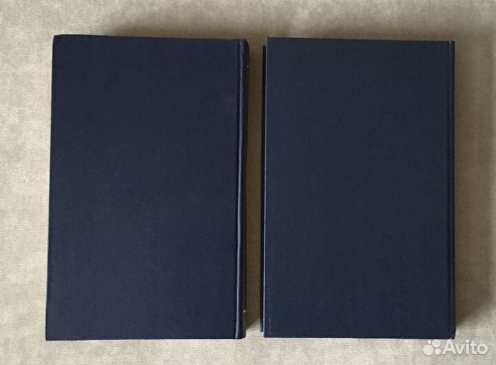 Св. Иоанн Златоуст. Том 1 в 2 книгах