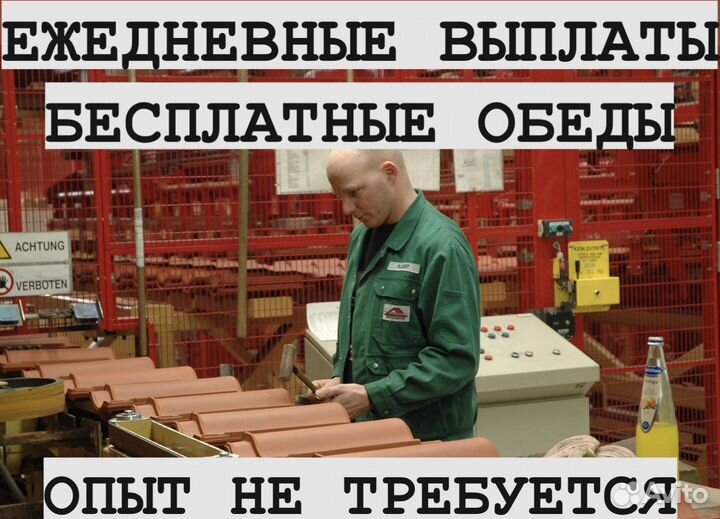 Грузчики разнорабочие. Ежедневные выплаты