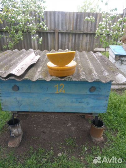 Воск пчелиный натуральный