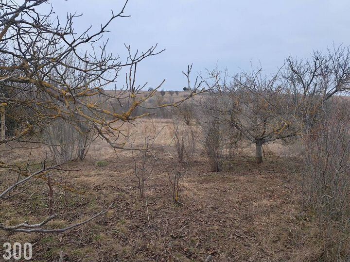 Участок 5 сот. (СНТ, ДНП)