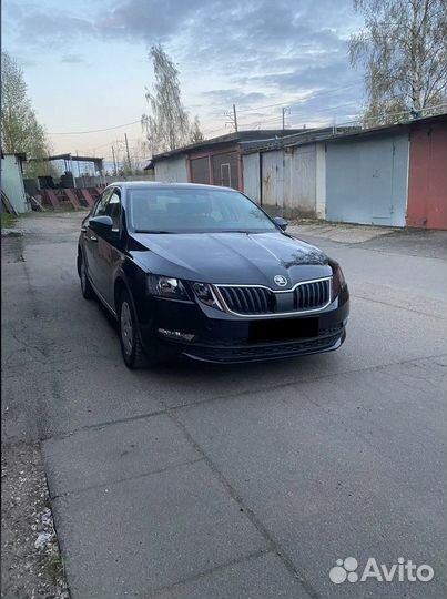 Прокат и аренда skoda octavia