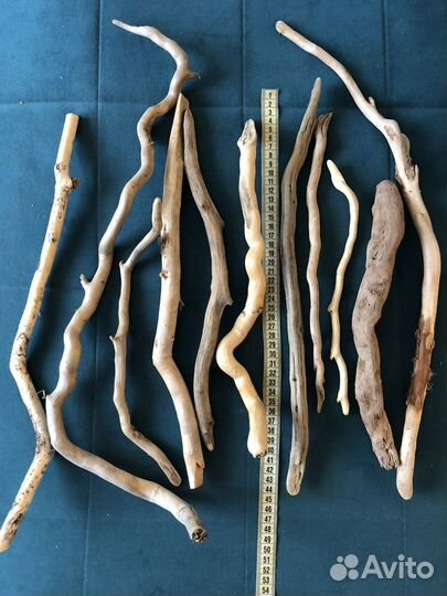 Морские палочки, коряжки, дрифтвуд