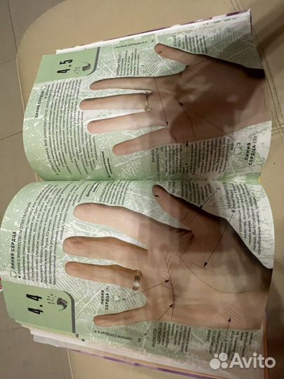 Энциклопедия Хиромантии