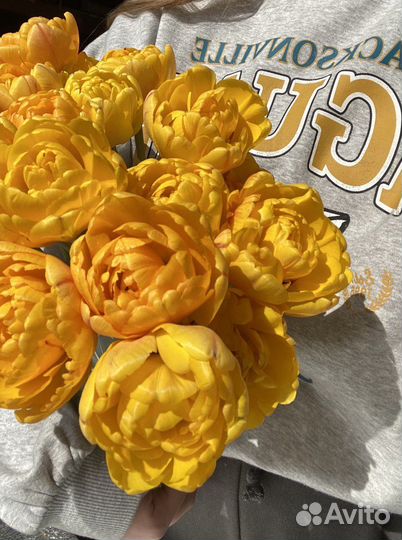 Луковицы тюльпанов желтые махровые