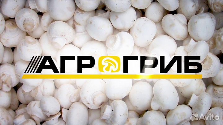 Мастер по кипиа (инженер по кипиа, инженер асуп)