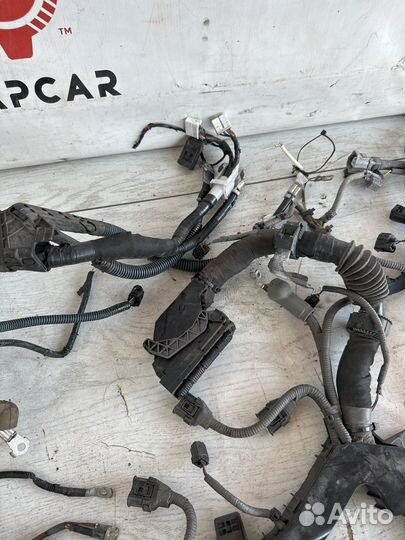 Lexus RX4 Проводка двигателя 3.5 4WD