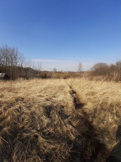 Участок 20 сот. (СНТ, ДНП)