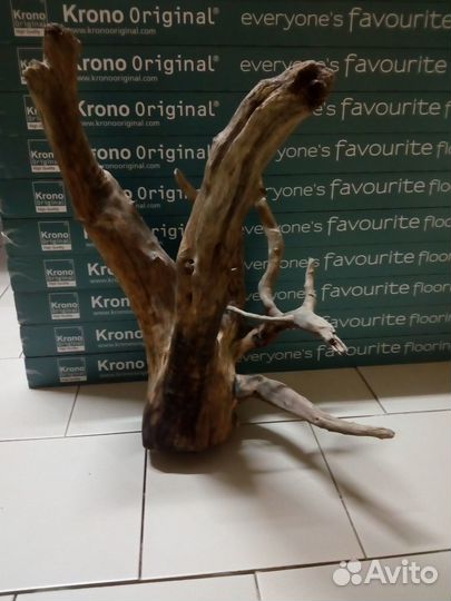 Коряги, камни, грунт