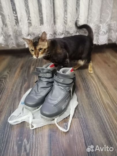 Лыжные ботинки spine 40 размер