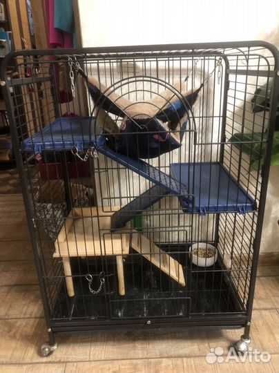 Большая мобилиная клетка для грызунов