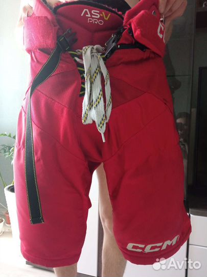 Шорты хоккейные ccm as-v pro