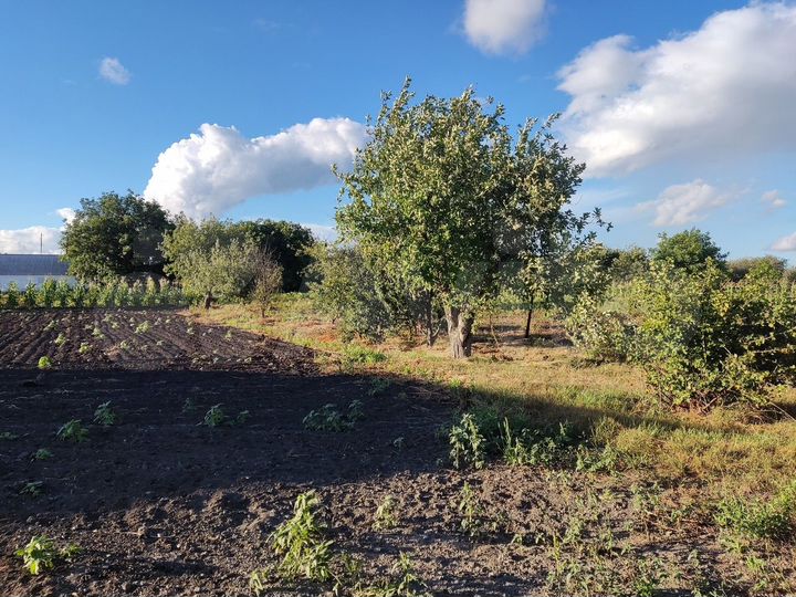 Участок 15 сот. (ИЖС)