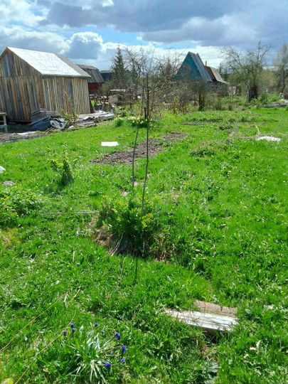 Дача 28 м² на участке 6 сот.