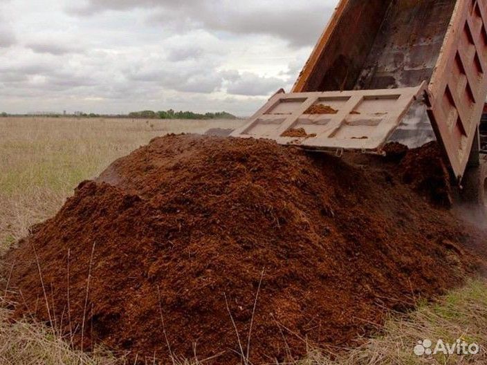 Перегной Чернозём