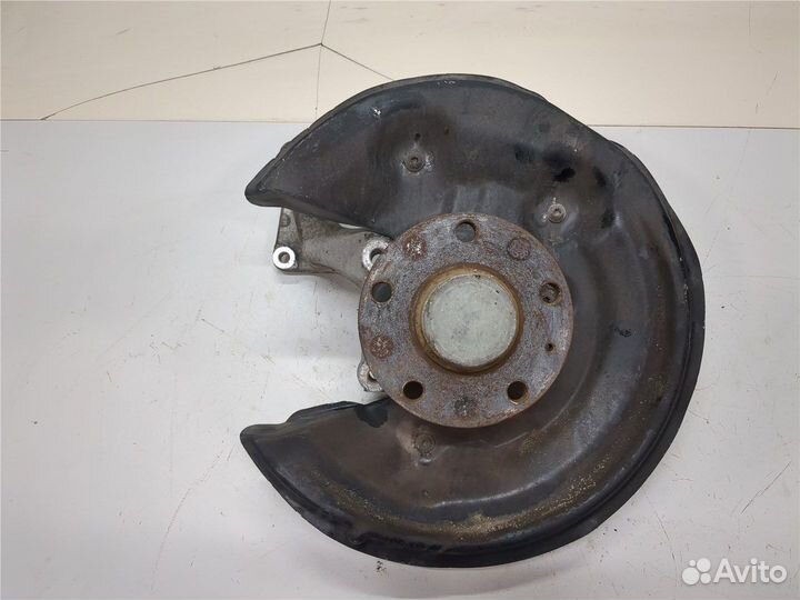 Ступица (кулак, цапфа) Volkswagen Passat 6, 2010