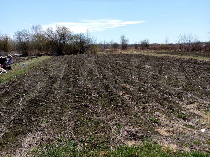 Дом 49,3 м² на участке 25 сот.