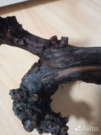Коряга виноградный ствол