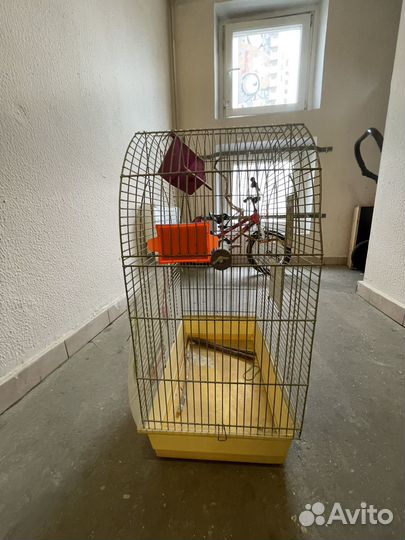Клетка для попугая корелла