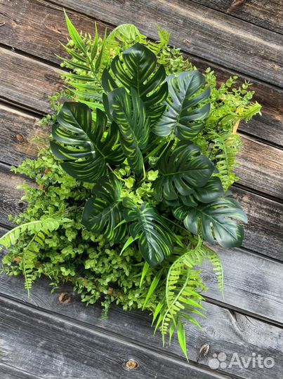 Фитокартины