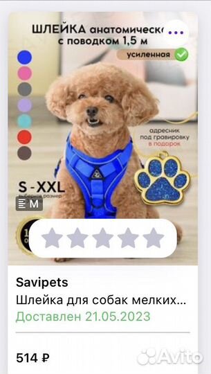 Шлейка для маленькой собаки