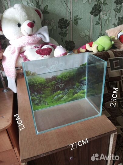 Аквариум