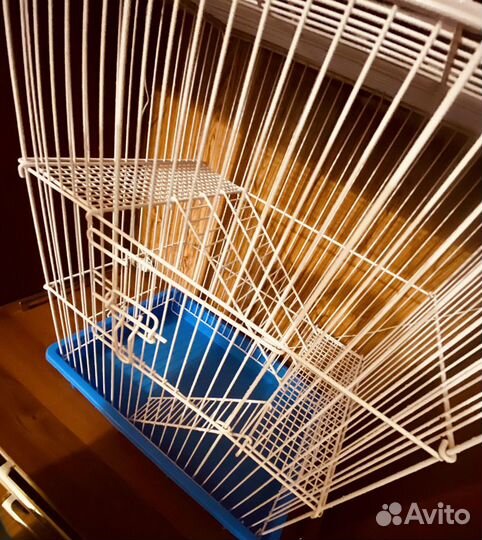Клетка для животных