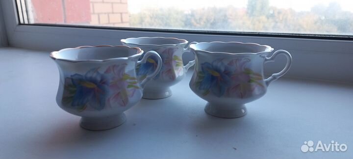 Фарфоровый чайный сервиз на 12 персон (korosten)
