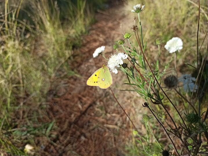 Дом 15 м² на участке 4 сот.