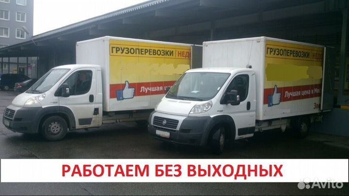 Грузоперевозки ГАЗель Переезды Грузчики Перевозки