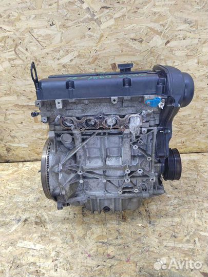 Двигатель Мотор Двс Ford focus 2 c-max shda