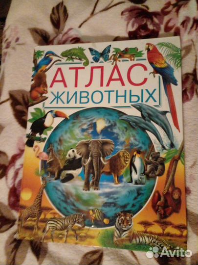 Знание сила