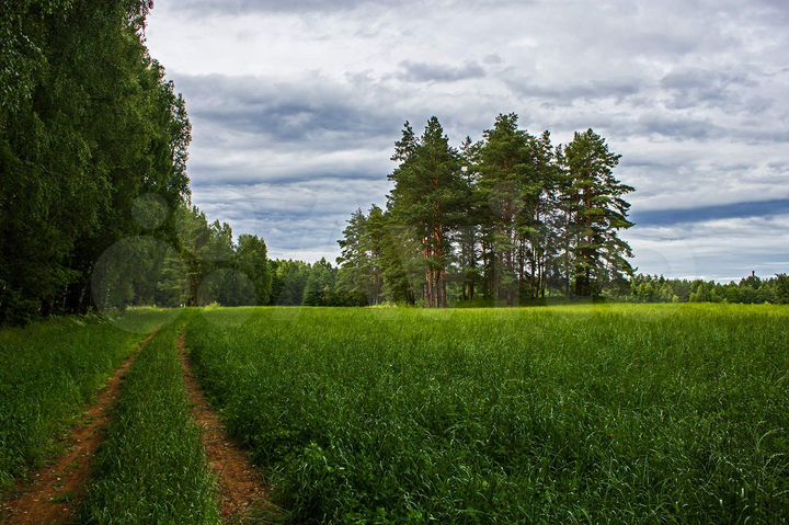 Участок 10 сот. (ИЖС)