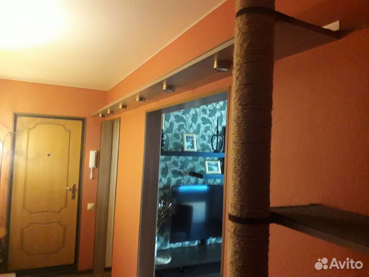 Игровой комплекс для кошек