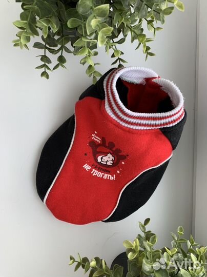 Одежда для собак