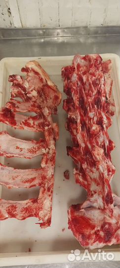 Корм для собак