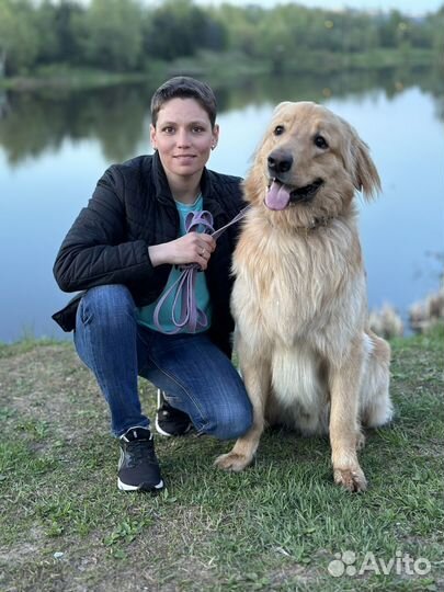 Кинолог с выездом