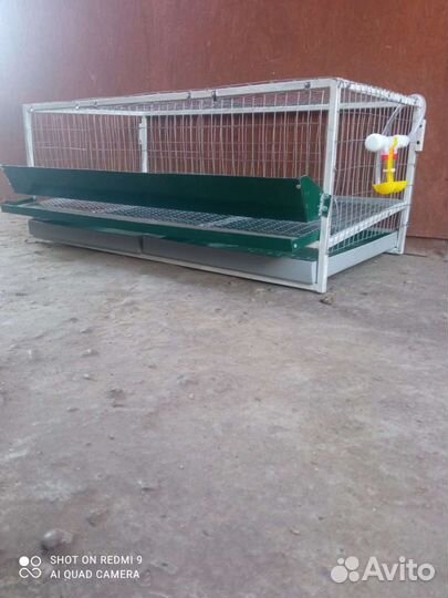 Клетка для перепелов