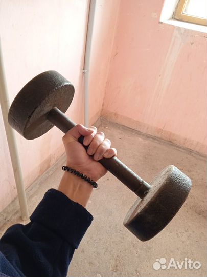 Гантелями 13кг