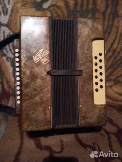 Гармонь кубань. Балалайка