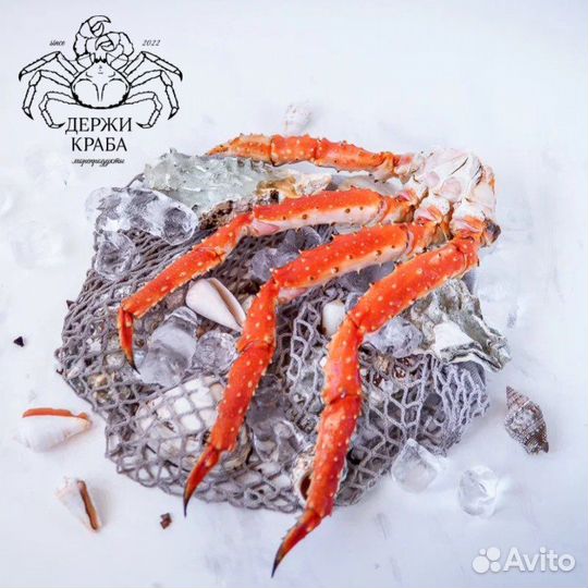 Краб камчатский