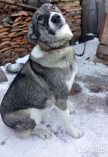 Маша 5 месяцев в дом