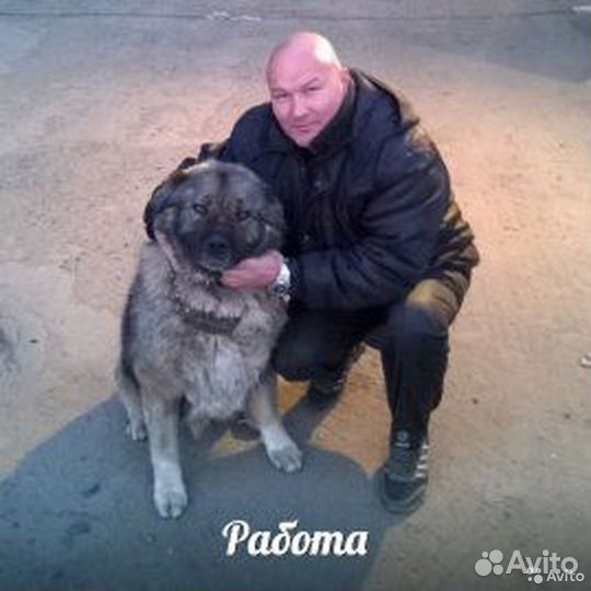 Охранник вахта