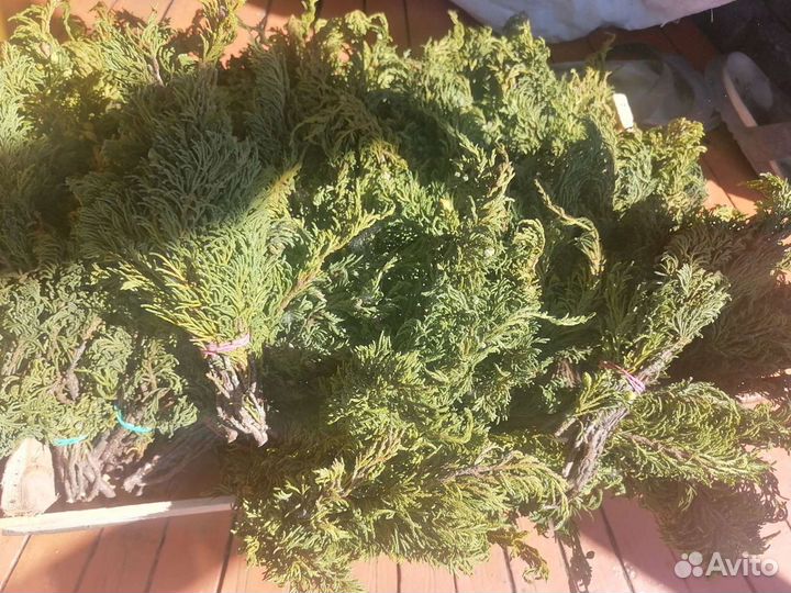 Веники из 