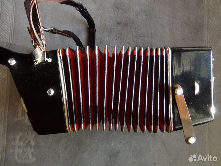 Аккордеон 