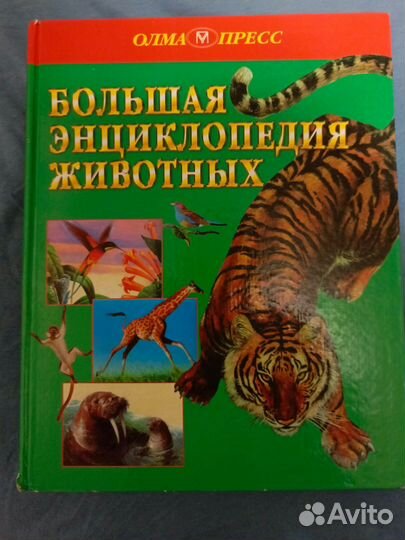 Энциклопедия для детей